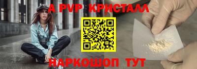 стаф Белореченск