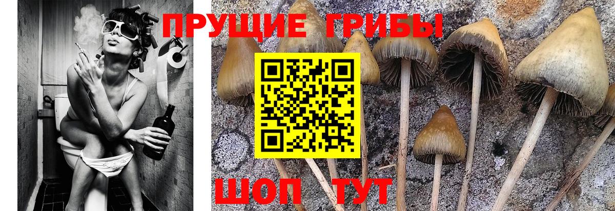 Псилоцибиновые грибы мухоморы Белебей